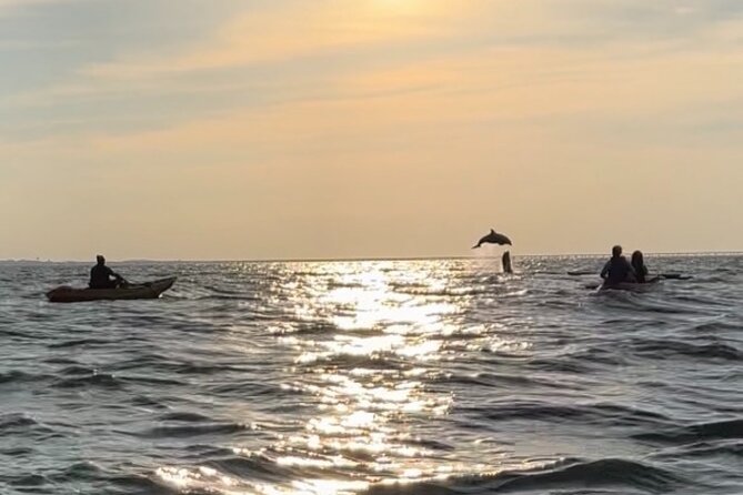 Sunset Kayaking with Dolphins - Who should book this paddle?