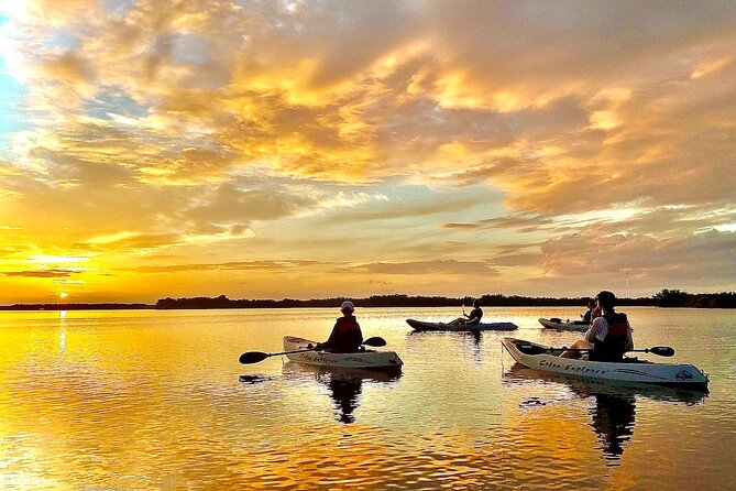 Sunset Tour Mangrove, Dolphins, Manatee #1 Rated in Cocoa Beach - Why this Cocoa Beach kayak trip deserves attention
