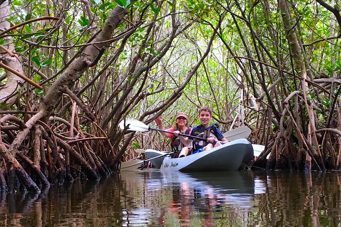 Sunset Tour Mangrove, Dolphins, Manatee #1 Rated in Cocoa Beach - Starting out on Cocoa Beach water