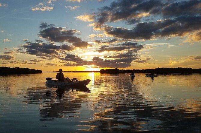Sunset Tour Mangrove, Dolphins, Manatee #1 Rated in Cocoa Beach - Sunset on the lagoon