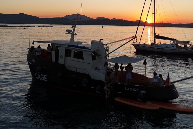 Sunset with dolphins on a vintage tugboat in Golfo Aranci - Key points to know before booking