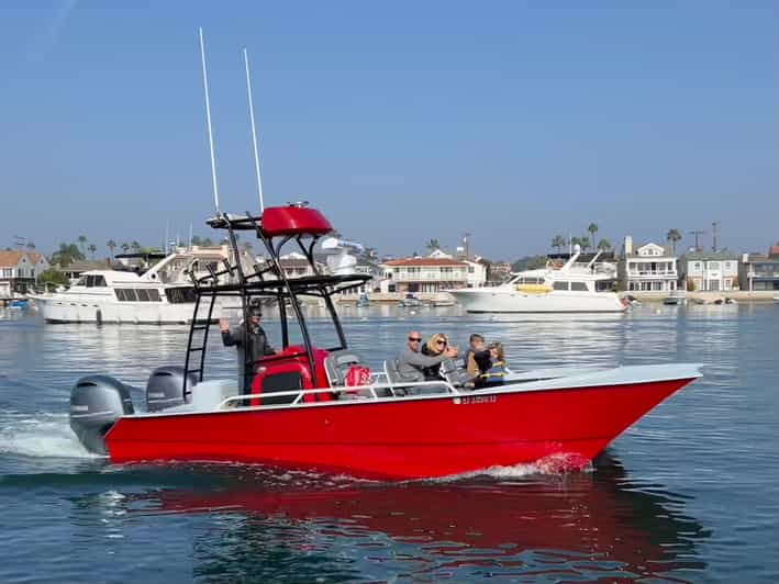Superior 2hr Private Whale & Dolphin Watching Newport Beach - Who should book this Newport Beach outing?