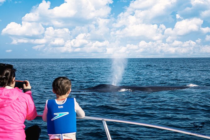 Supreme 2hr Whale/Dolphin Watching Newport Beach, 6 person max - Two hours of searching the Pacific