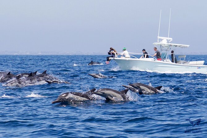Supreme 2hr Whale/Dolphin Watching Newport Beach, 6 person max - Captain Nick’s role on the water
