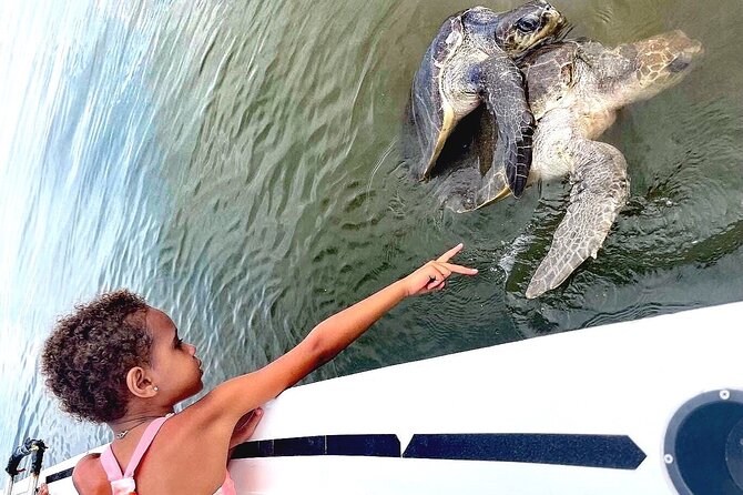 Swim and Paddle Board with Wild Dolphin Pods in Puerto Vallarta - Food, drinks, and comfort