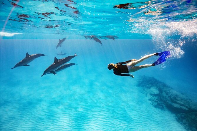 Swim with Dolphin Boat Trip with Snorkeling and Transfer Hurghada - Heading toward Dolphin House