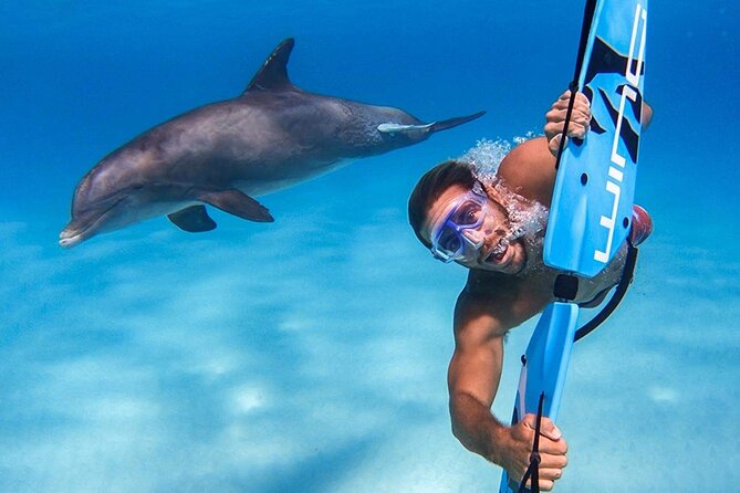 Swim with dolphin By Private Speed Boat and Sub wing Game - Hurghada - The Five-Minute Sub-Wing Ride