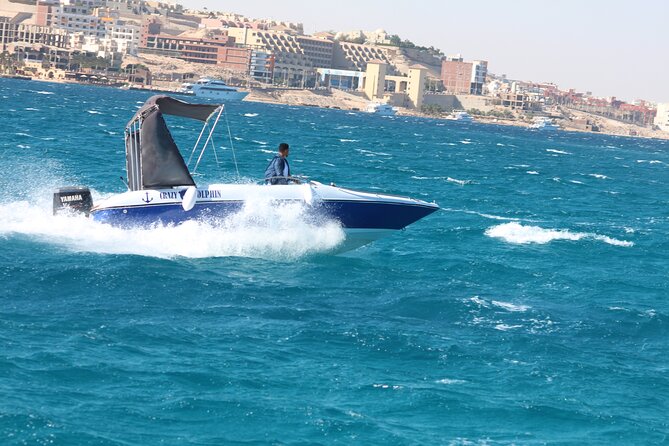 Swim with dolphin By Private Speed Boat and Sub wing Game - Hurghada - Finding Dolphins at Dolphin House