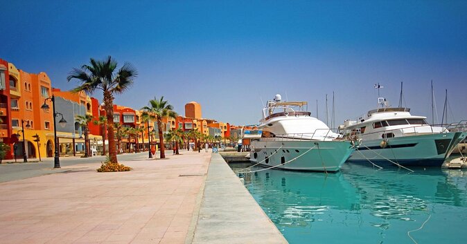 Swim With Dolphin By Semi PRIVATE Speedboat & Transfer - Hurghada - Key points to know before booking