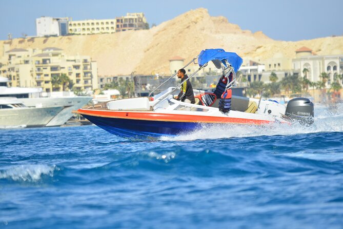 Swim With Dolphin By Semi PRIVATE Speedboat & Transfer - Hurghada - An 8:00 am start from your Hurghada hotel