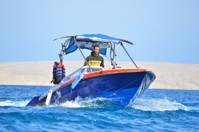 Swim With Dolphin By Semi PRIVATE Speedboat & Transfer - Hurghada - Snorkeling with supplied equipment