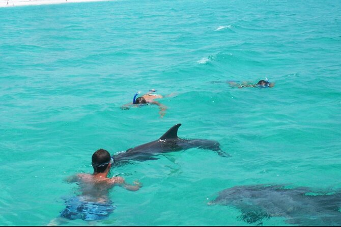 Swim with Dolphins And Snorkeling Group Tour - Quick facts for planning your boat trip