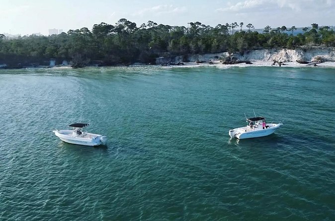 Swim with Dolphins And Snorkeling Group Tour - Is $70.99 a fair price?