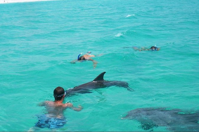 Swim with Dolphins And Snorkeling Group Tour - Who will enjoy this most?