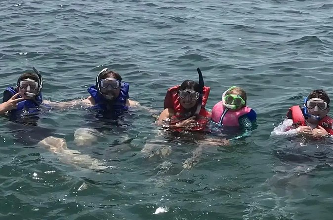 Swim with Dolphins And Snorkeling Group Tour - Tips for making the most of the two hours