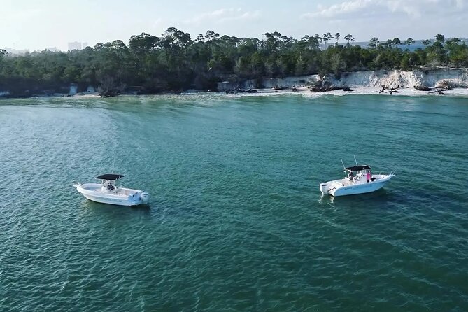 Swim with Dolphins And Snorkeling Group Tour - Shell Island is the steadier part of the day