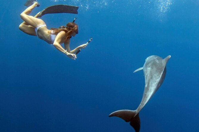 Swim with Dolphins Catamaran with Waterslide & Lunch on Oahu - Lunch, Drinks, and What You Actually Receive