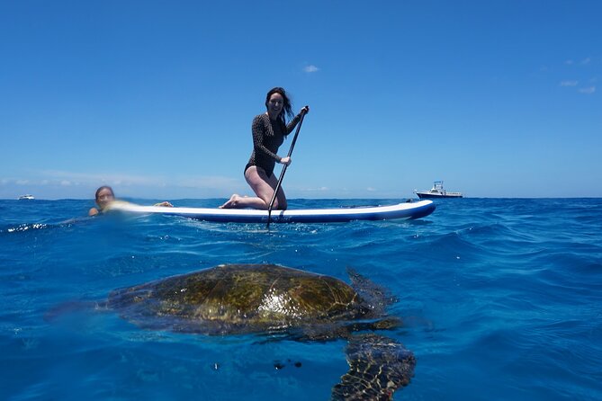 Swim with Dolphins Catamaran with Waterslide & Lunch on Oahu - Hotel Pickup and the Early Morning Choice