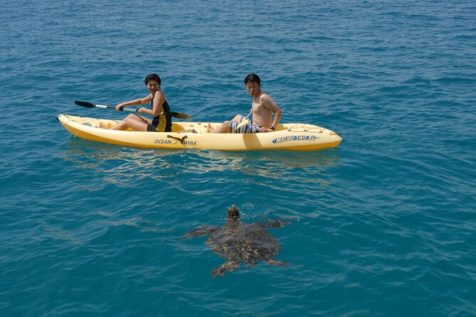Swim with Dolphins Catamaran with Waterslide & Lunch on Oahu - Who Will Enjoy This Trip Most?