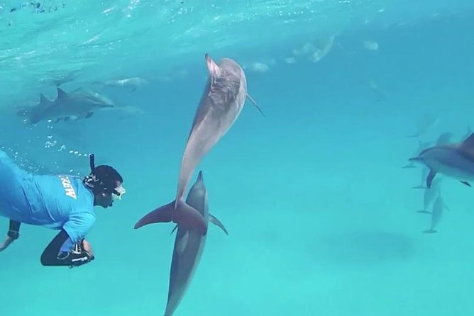 Swim with Dolphins Semi Private Speedboat Sea Tour - Hurghada - Speedboat rides, water sports, and possible changes