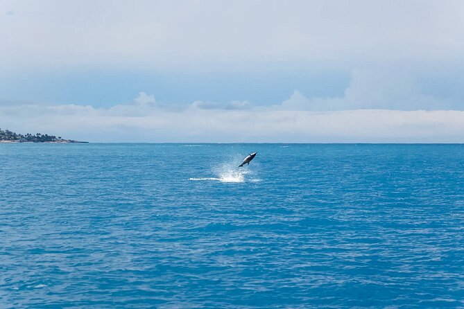 Swim With Dolphins & Turtles in West Oahu (Semi-Private Tours) - Entering the water with turtles and reef fish