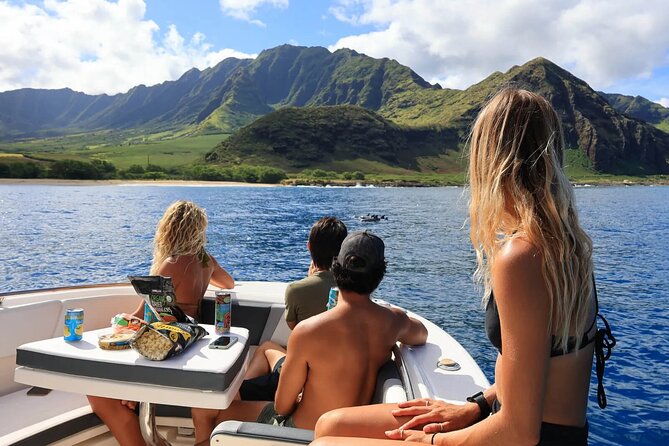 Swim With Dolphins & Turtles in West Oahu (Semi-Private Tours) - Weather, waves, and comfort