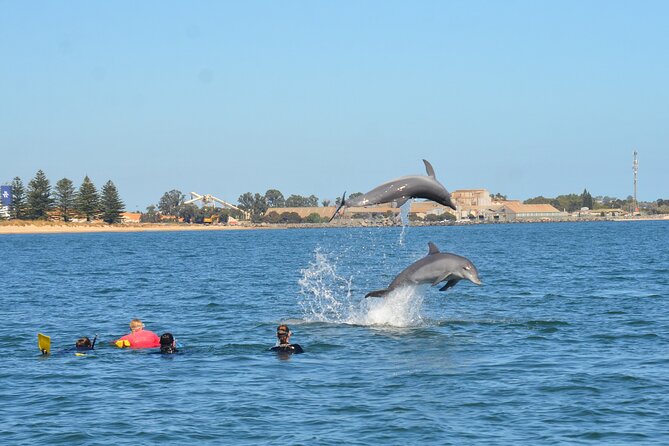 Swim With The Dolphins Experience in Bunbury Australia - Who should book this experience?