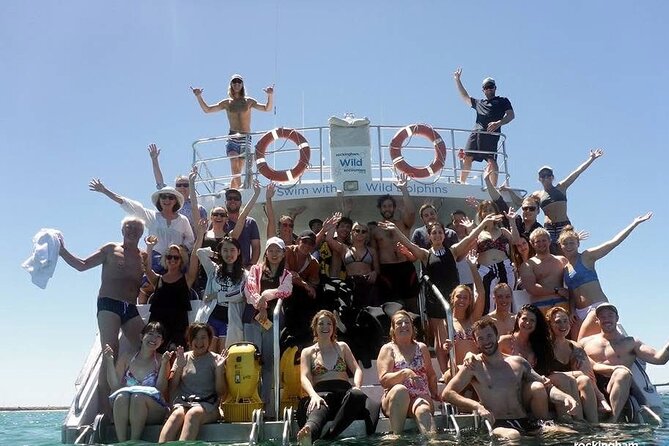 Swim with Wild Dolphins Day Tour - Swimming near dolphins in their natural home