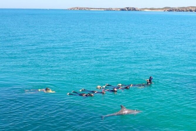 Swim with Wild Dolphins Day Tour - What lunch is really like on the boat