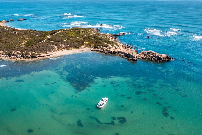 Swim with Wild Dolphins Day Tour - The value of a $214.46 half-day experience