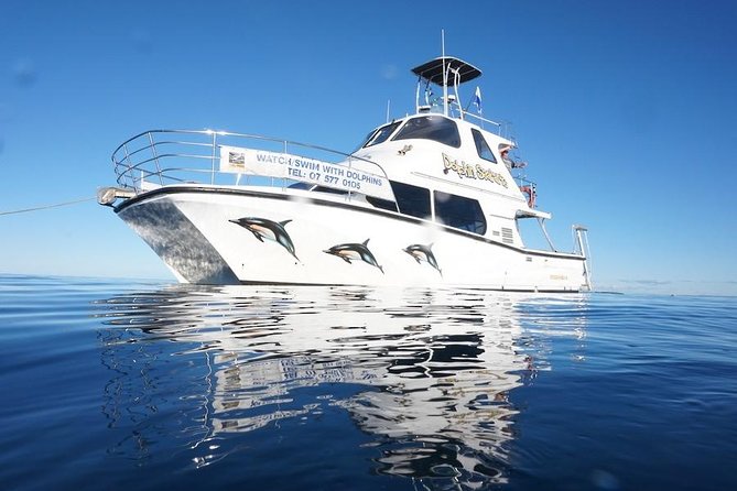 Swim With Wild Dolphins in Tauranga - Setting out from Tauranga Bridge Marina at 9:00 am