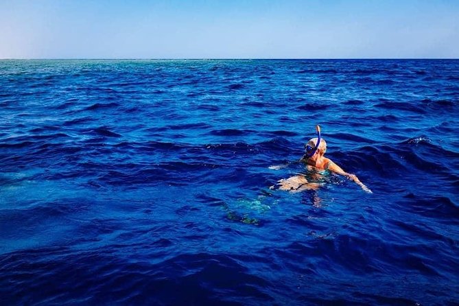 Swim with Wild Dolphins in the Azores - Finding dolphins along São Miguel’s coast