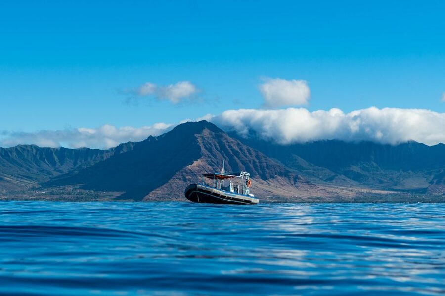 Swim with Wild Dolphins Oahu Speedboat Snorkeling Adventure! - Snorkeling at Makaha reef