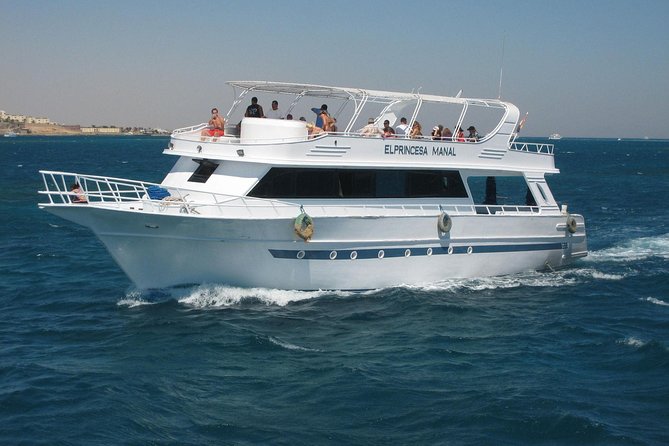 Swimming with Dolphin VIP Snorkeling Sea Trip With Lunch and Transfer - Hurghada - Practical tips for making the day better