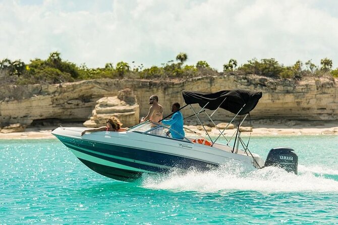 Swimming with Dolphins by Private Speed Boat - Hurghada - Timing, pickup, and the small practical details