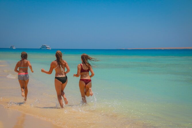Swimming with Dolphins by Private Speed Boat - Hurghada - How the experience compares with a large boat excursion
