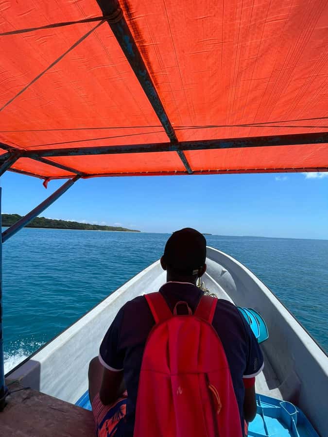 Swimming with dolphins in kizimkazi - Why Kizimkazi is a good place for this outing