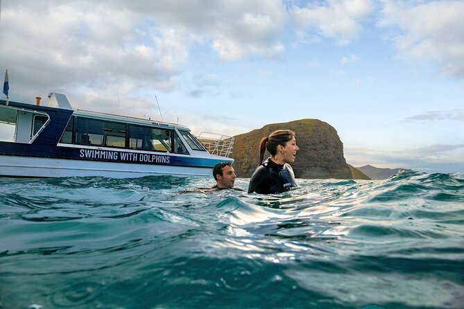 Swimming with Wild Dolphins in Akaroa - Key points to know before you book