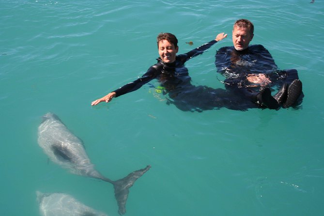 Swimming with Wild Dolphins in Akaroa - The crew and the small-group advantage