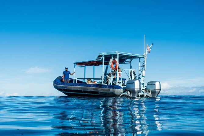 Swimming with Wild Dolphins Speedboat Adventure on Oahu - Why the Waiʻanae coast is the right setting