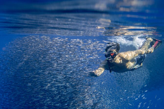 Swimming with Wild Dolphins Speedboat Adventure on Oahu - Who will enjoy this dolphin adventure most?