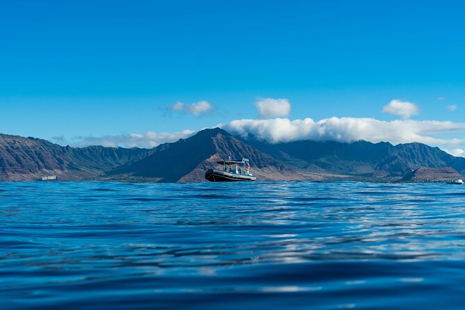 Swimming with Wild Dolphins Speedboat Adventure on Oahu - Snorkeling with turtles near Makaha