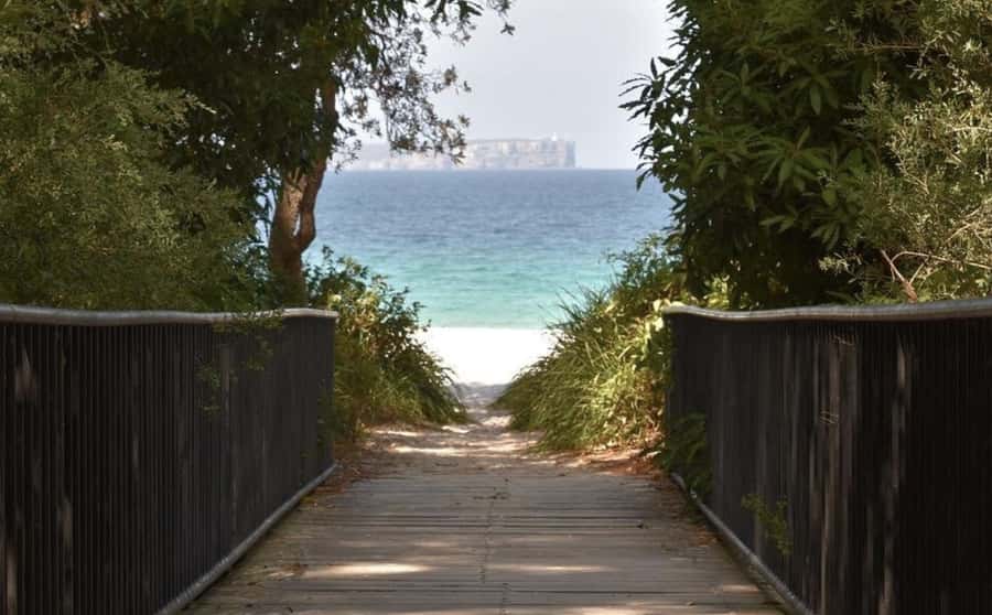 Sydney: Jervis Bay Day Trip with Dolphins, Roos & Beach Time - Timing, comfort, and the real value of $120