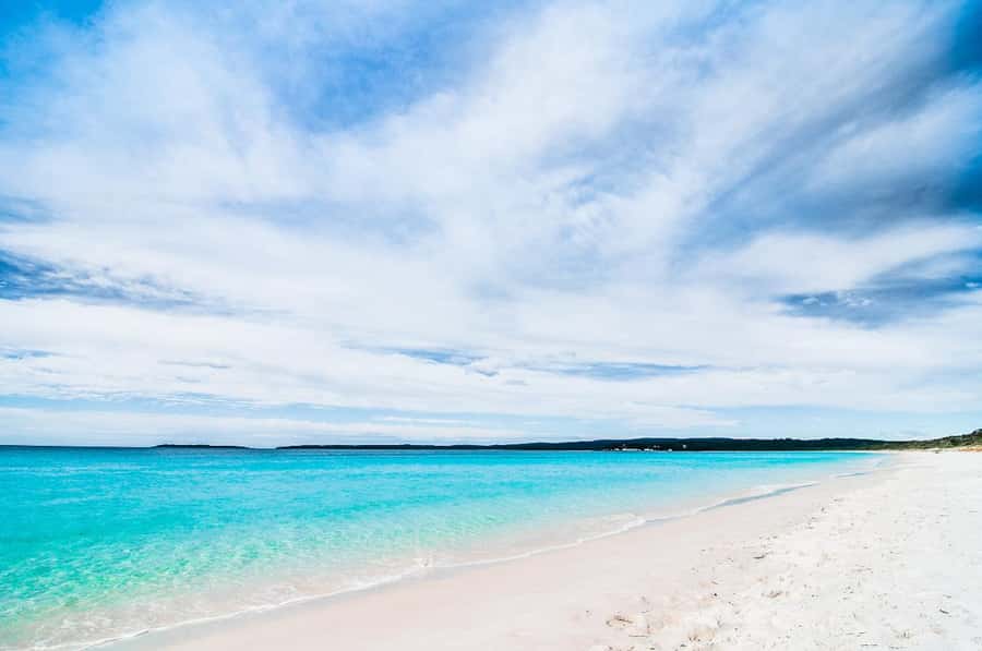 Sydney: Jervis Bay Day Trip with Dolphins, Roos & Beach Time - Weather can change the shape of the day