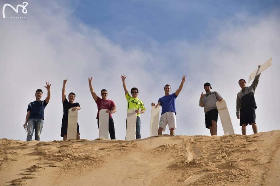 Sydney: Port Stephens Day Trip with Dolphin Cruise or Hike - Who should book this $90 experience?