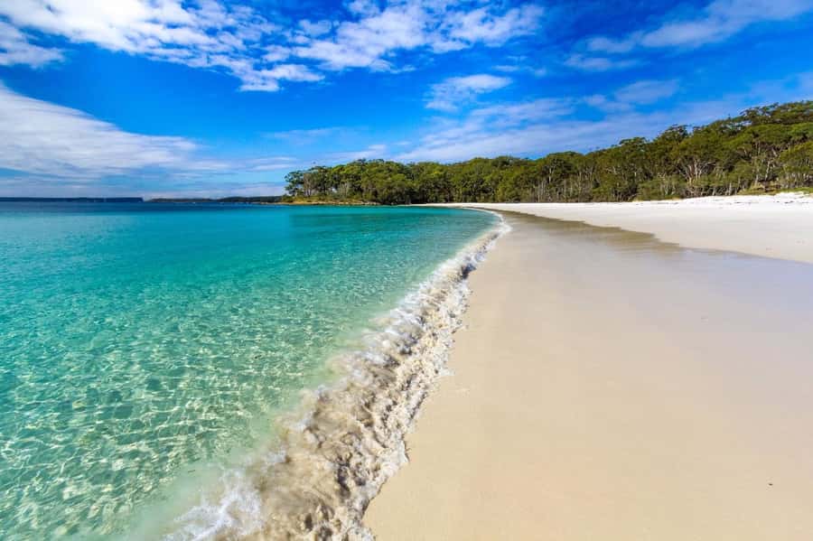 Sydney: Port Stephens Day Trip with Dolphin Cruise or Hike - The early start from Sydney Central
