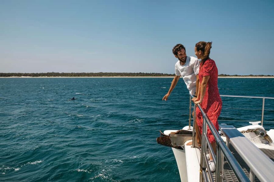 Sydney: Port Stephens Dolphin Watching & Sand Dunes Day Tour - Why Port Stephens makes a good Sydney escape