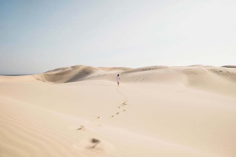 Sydney: Port Stephens Dolphin Watching & Sand Dunes Day Tour - Stockton Beach and the giant sand dunes