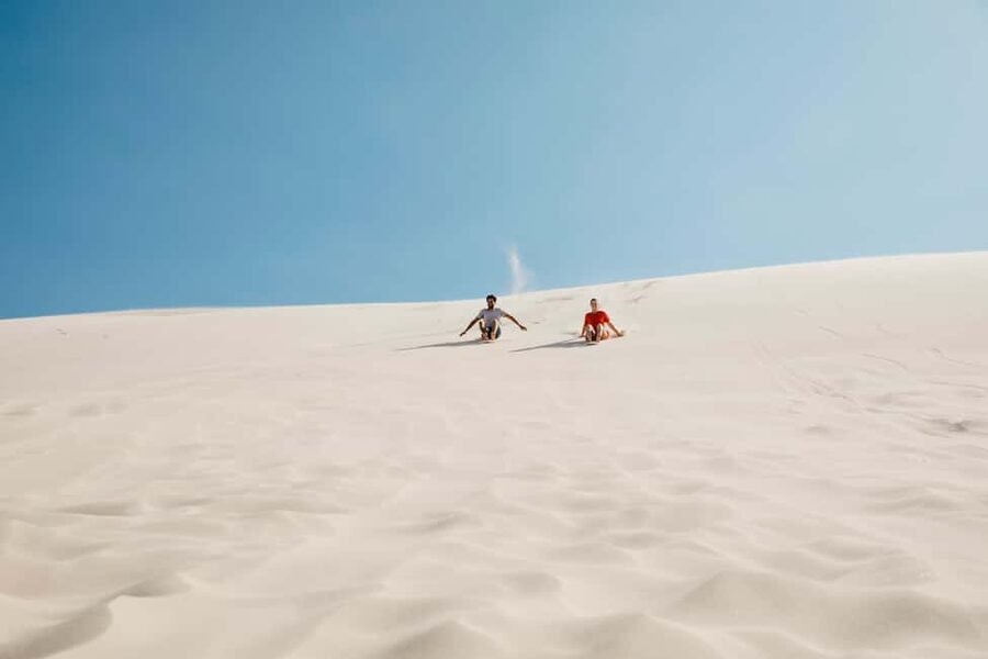 Sydney: Port Stephens Dolphin Watching & Sand Dunes Day Tour - How the day balances excitement and downtime