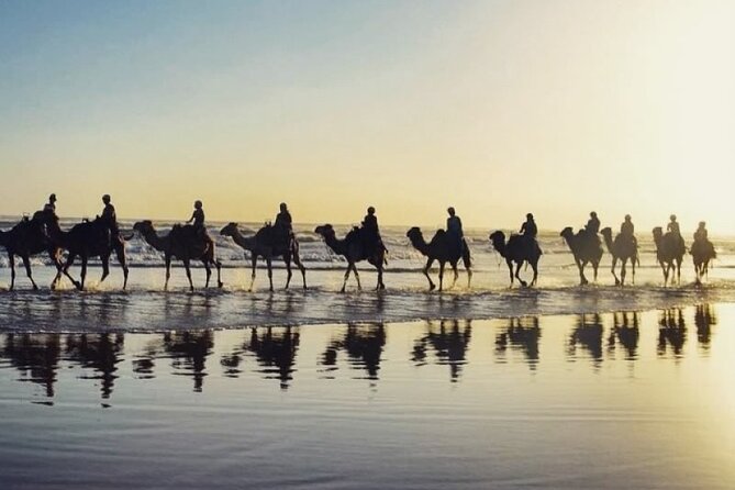 Sydney: Port Stephens Sandboarding, Dunes & Dolphin Cruise option - The long return to Sydney and what it means